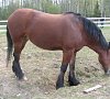 Санаторий «Новый Источник» Вологодская область #17