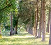 Пансионат «Лагуна» Цандрипш #18