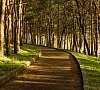 Терренкур , отдых все включено №12
