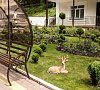 Санаторий Белая Дача Кисловодск фото