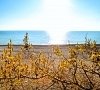 Отель «Русский Дом Дивный 43 39» Сочи #46