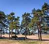 Санаторий Сестрорецкий курорт Ленинградская область - официальный сайт