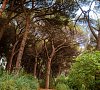 Вилла «Карасан» Алушта, Крым #42