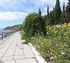 Пансионат «Канака» Алушта, Крым #22