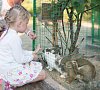 Санаторий «Таврия» Евпатория, Крым #56 Санаторий «Таврия» Евпатория, Крым #56