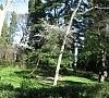 Санаторий «Белоруссия» Ялта, Крым #25