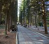 Санаторий «Алуштинский» Крым #25