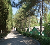 Турбаза «Мир» Алушта, Крым #13