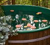 View Ga Forest SPA Ленинградская область