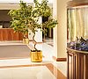 Синдика, SPA-отель Нальчик - официальный сайт