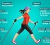 Скандинавская ходьба, отдых все включено №4