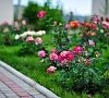 Отель «Нарлен» Коктебель, Крым #40 Отель «Нарлен» Коктебель, Крым #40
