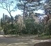 Санаторий «Морской прибой» Кореиз, Ялта, Крым #15 Санаторий «Морской прибой» Кореиз, Ялта, Крым #15