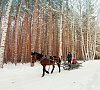 Пансионат с лечением Карагайский бор  #44