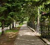 Старые друзья Белокуриха цены