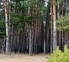 Краинка Тульская область