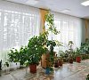 Кстово Ярославское шоссе цены