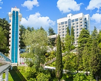 Санаторий Мыс Видный (Адлер)