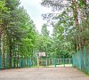 База отдыха «Лосево Парк» Ленинградская область #36