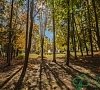 Санаторий Зеленая роща Башкирия фото