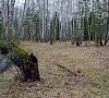 Санаторий «Краинка» Тульская область #16