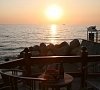 Вязовая роща Севастополь - официальный сайт