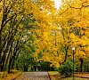 Отель «Планерное» район Химки #15