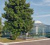 Отельный комплекс Лесное #59