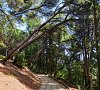 Вилла «Карасан» Алушта, Крым #43