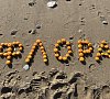 Флора Новый Афон цены