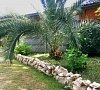 Отель «Дуглас» Пицунда, Абхазия #17 Отель «Дуглас» Пицунда, Абхазия #17