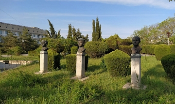 IMG