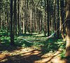 Отель Дмитров Гольф Резорт Дмитровское шоссе