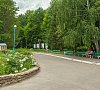 Березовая роща Пензенская область цены