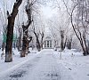 Санаторий «Озеро Карачи» Новосибирская область #38