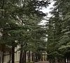 Пансионат «Западный Донбасс» Алушта, Крым #26