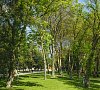 Санаторий Родник Анапа фото