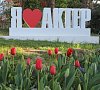 Актер Сочи