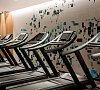 Sheraton Metechi Palace Тбилиси цены