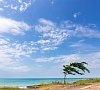 Гостиница «Amina Beach» Гагра, Цандрипш #20