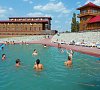 Кленовая роща Пензенская область - официальный сайт