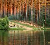 Карагайский бор  Челябинская область цены