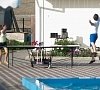 Отель «Нарлен» Коктебель, Крым #39 Отель «Нарлен» Коктебель, Крым #39