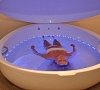 Флоатинг, отдых все включено №4