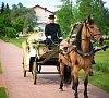 Парк-отель «Союз Истра 3*» Истринский район #18
