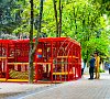 Отель «Golden family resort» Алушта, Крым #44