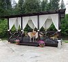 Красная Гвоздика Новорижское шоссе