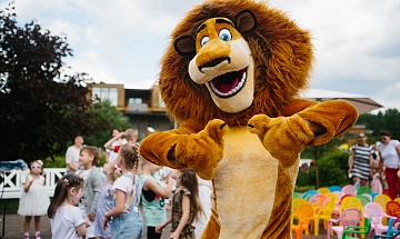 IMG