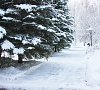 Санаторий «им. Ленина» Ундоры, Ульяновская область #59