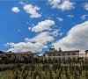 Гринцовский Ялта - официальный сайт